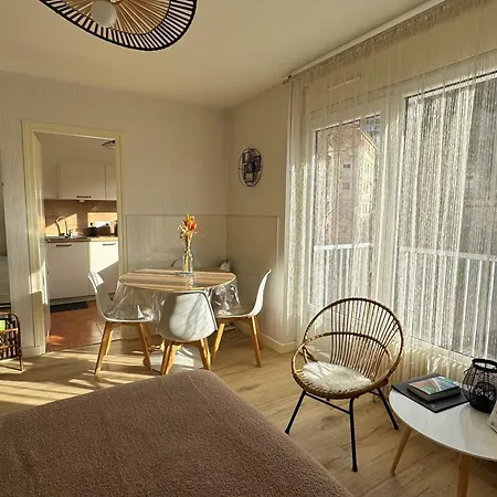 Grand Lumineux Avec Balcon Et Wifi, Résidence Avec Piscine - Fr-1-555-122 * Aix-les-Bains